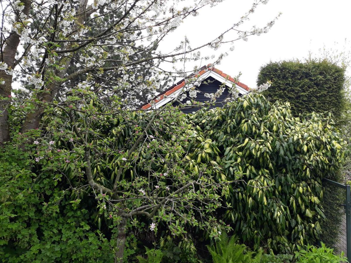 Vakantiehuisje Achter Odiliapeel Exterior foto